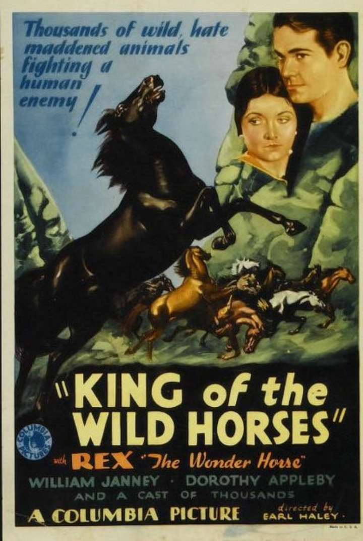 King of the Wild Horses i gruppen Alla filmer / Western hos Mohamad shop (587263)