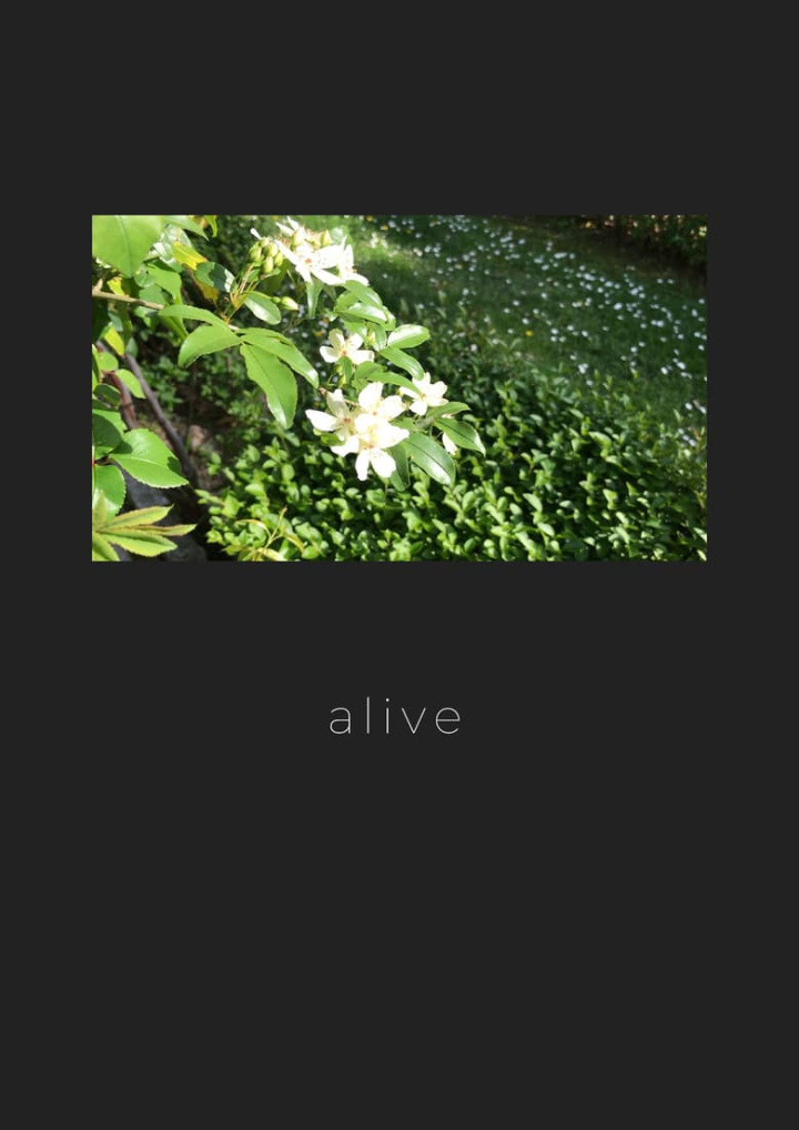 Alive i gruppen Alla filmer / Documentary hos Mohamad shop (587538)