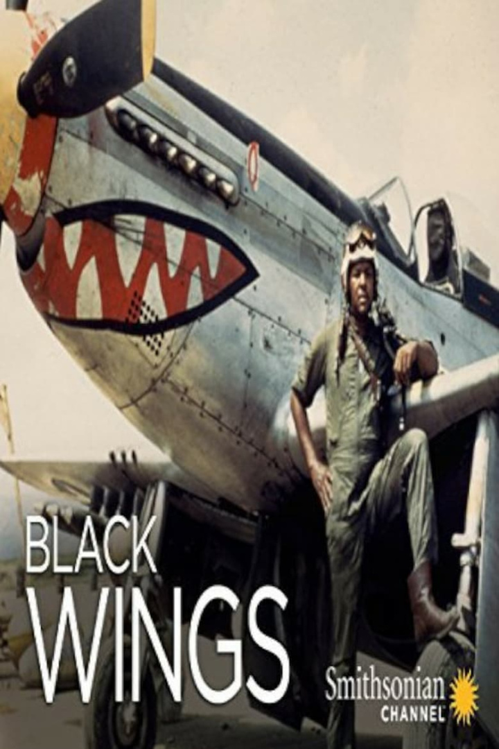 Black Wings i gruppen Alla filmer / Documentary hos Mohamad shop (587699)