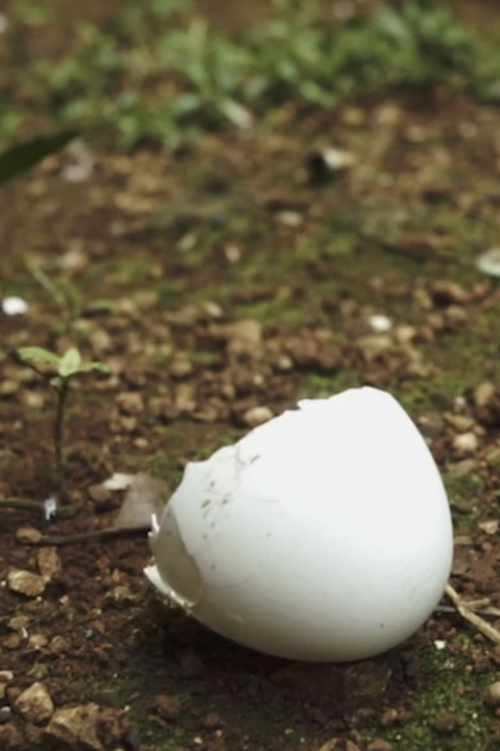 Sonia i gruppen Alla filmer / Documentary hos Mohamad shop (587723)