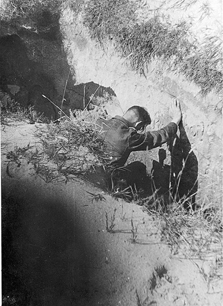 The Blue Hills i gruppen Alla filmer hos Mohamad shop (587894)