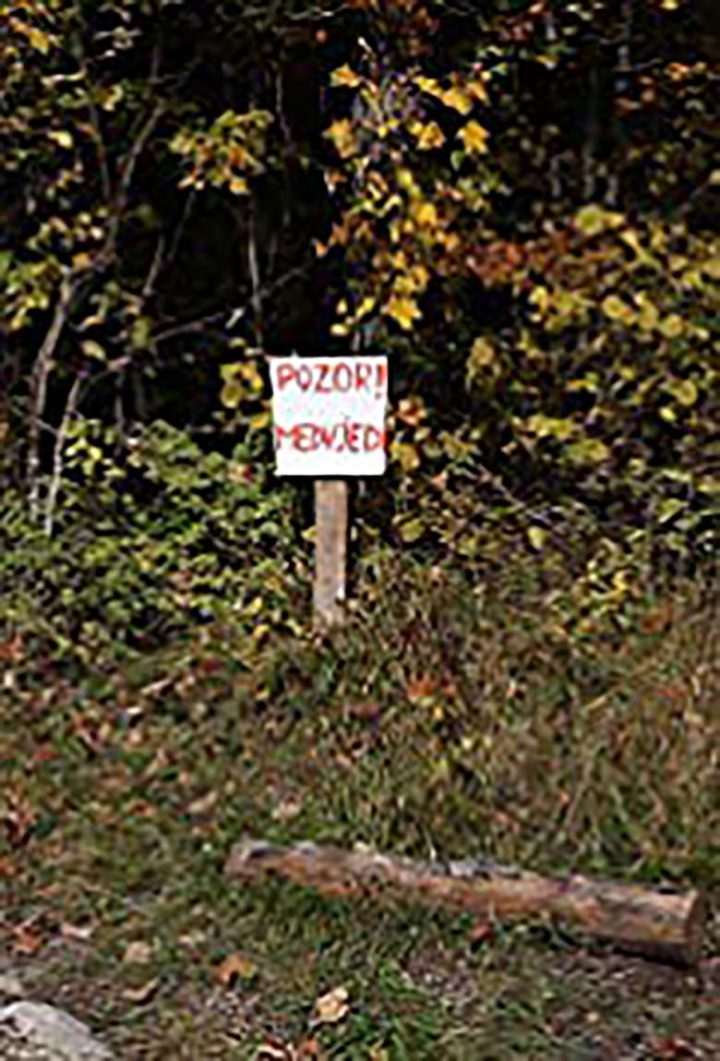 Kartoline i gruppen Alla filmer / Documentary hos Mohamad shop (588138)