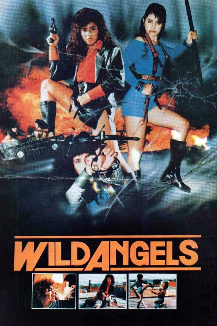 Wild Angels i gruppen Alla filmer / Action hos Mohamad shop (588559)