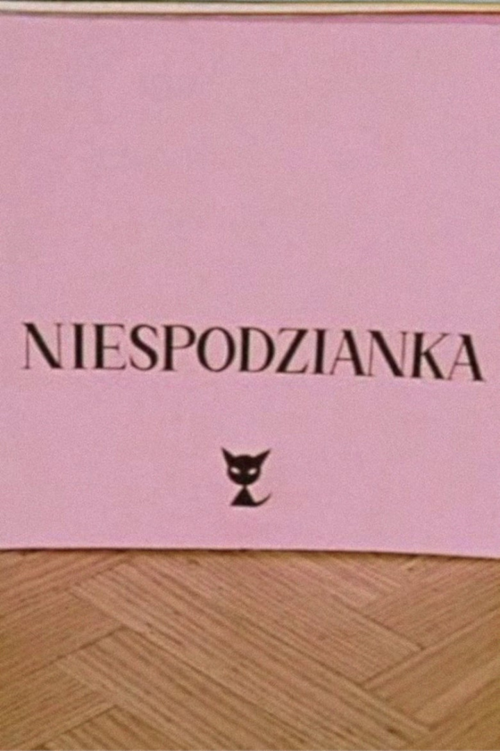 The Surprise i gruppen Alla filmer / Animation hos Mohamad shop (588574)