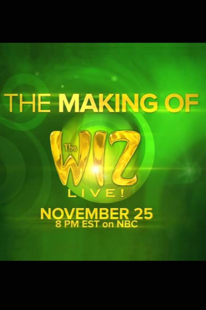The Making of the Wiz Live! i gruppen Alla filmer / Documentary hos Mohamad shop (588592)