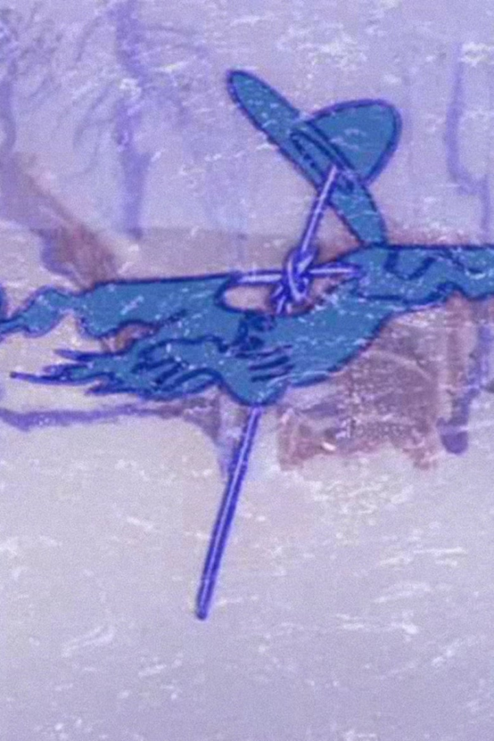 The Blizzard i gruppen Alla filmer / Animation hos Mohamad shop (588593)