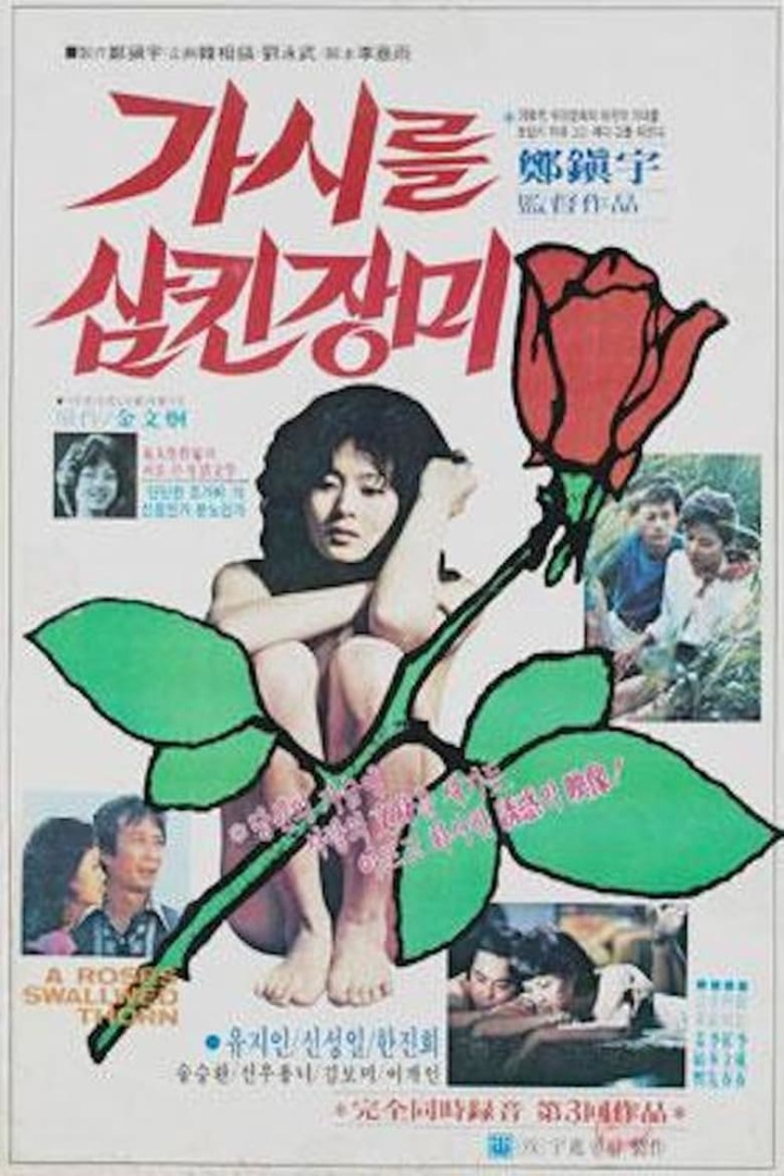 A Rose with Thorns i gruppen Alla filmer / Drama hos Mohamad shop (588663)