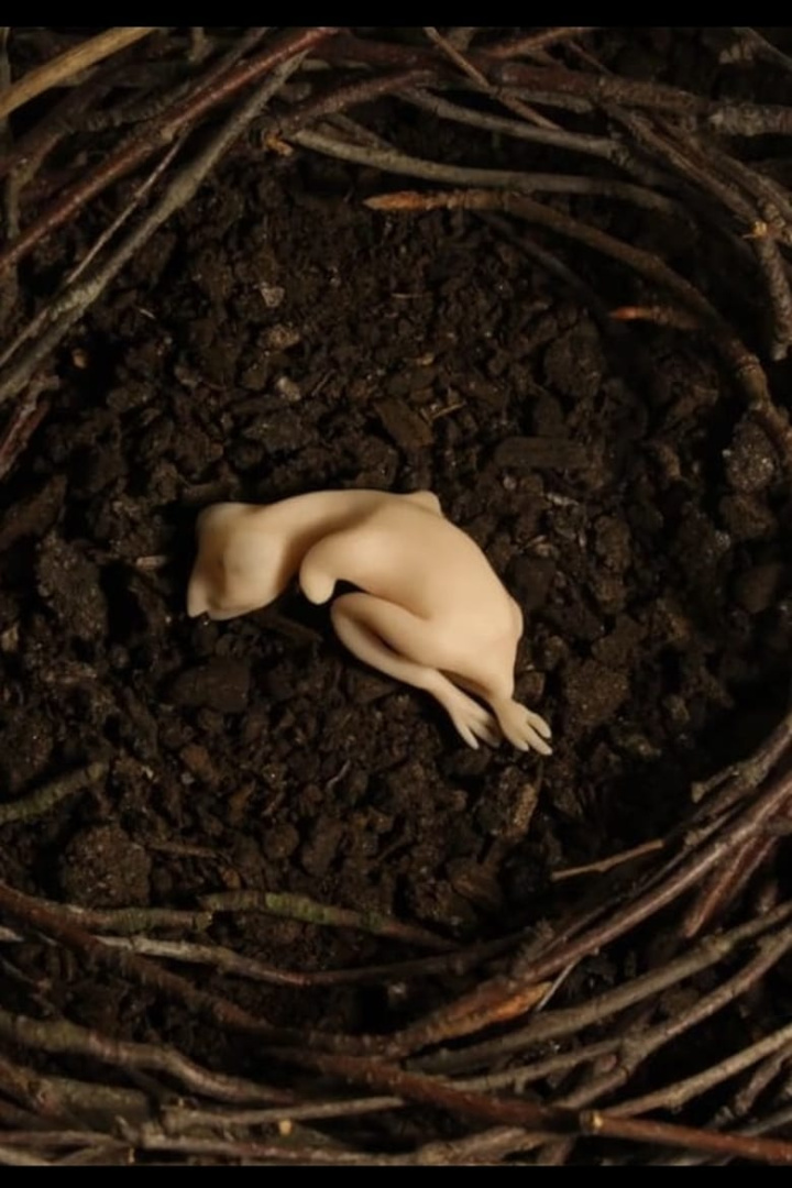 Creatures from the Swamp i gruppen Alla filmer / Animation hos Mohamad shop (588824)