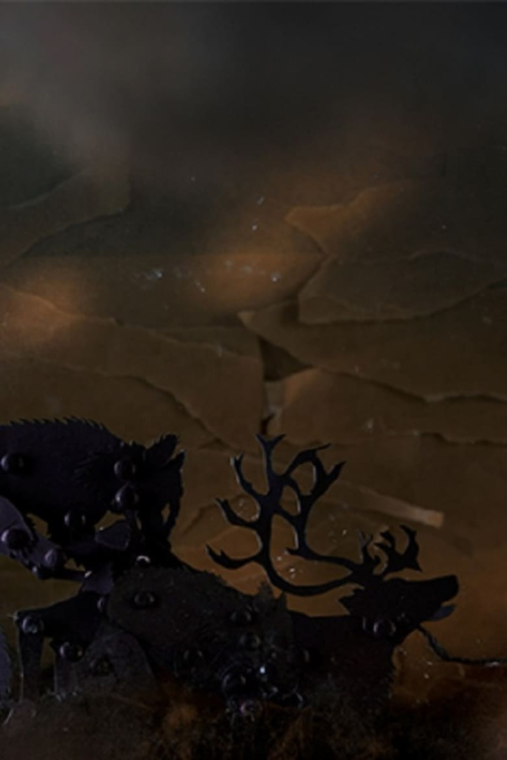 Wake Up Elena Wake Up i gruppen Alla filmer / Animation hos Mohamad shop (588850)