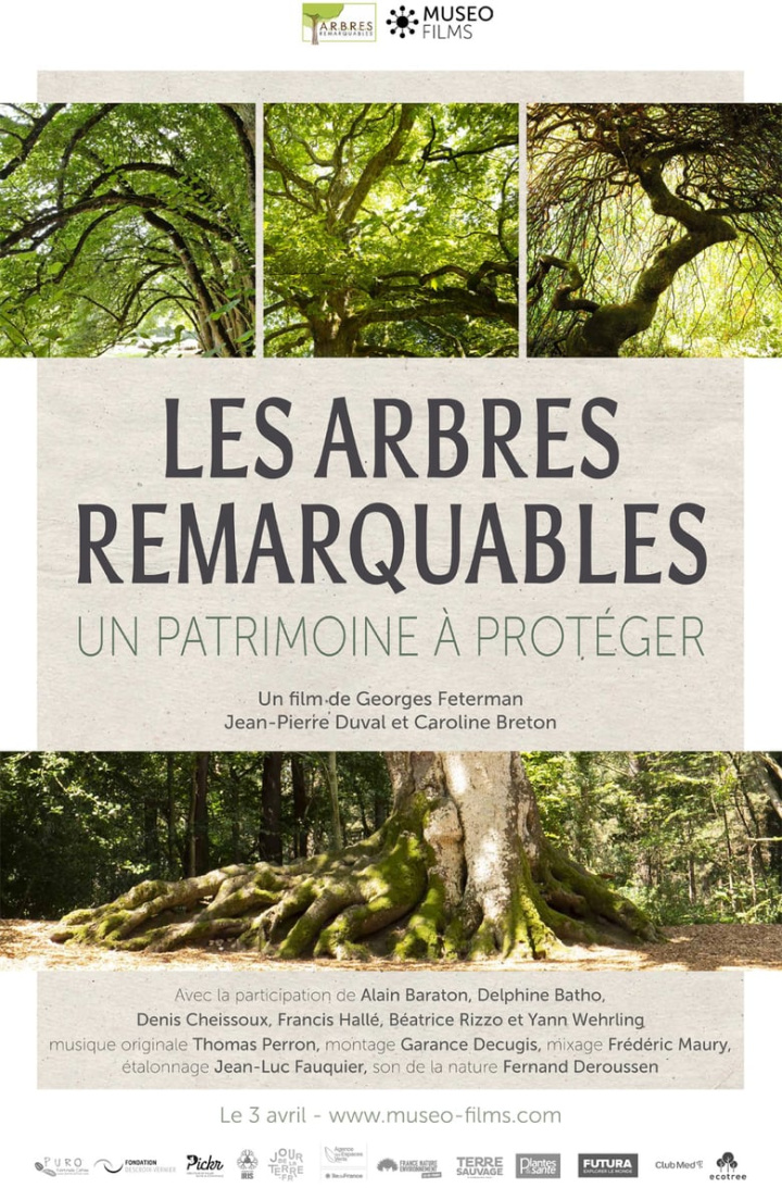 Les Arbres Remarquables, un patrimoine à protéger i gruppen Alla filmer / Documentary hos Mohamad shop (589308)
