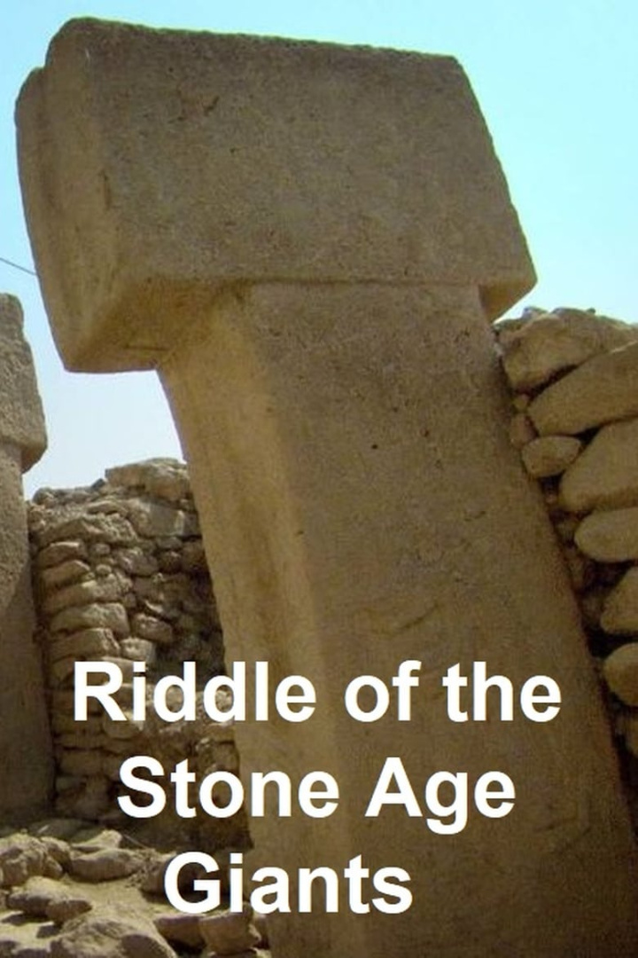 Riddle of the Stone Age Giants i gruppen Alla filmer hos Mohamad shop (589325)
