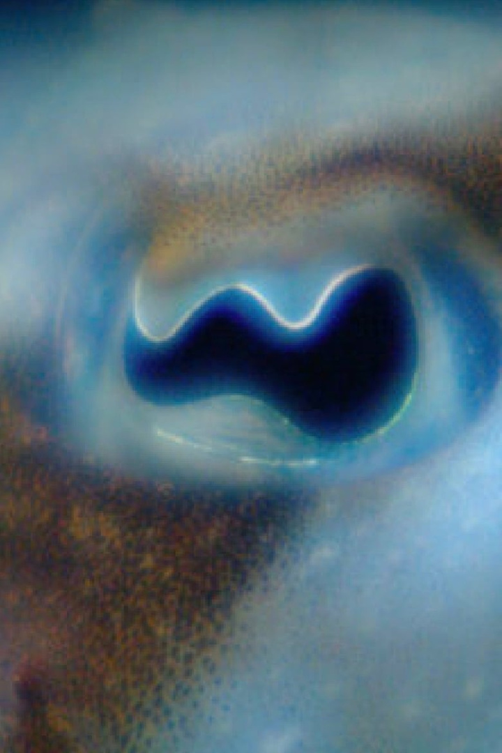 Anywhen In a Time Colored Space i gruppen Alla filmer hos Mohamad shop (589748)