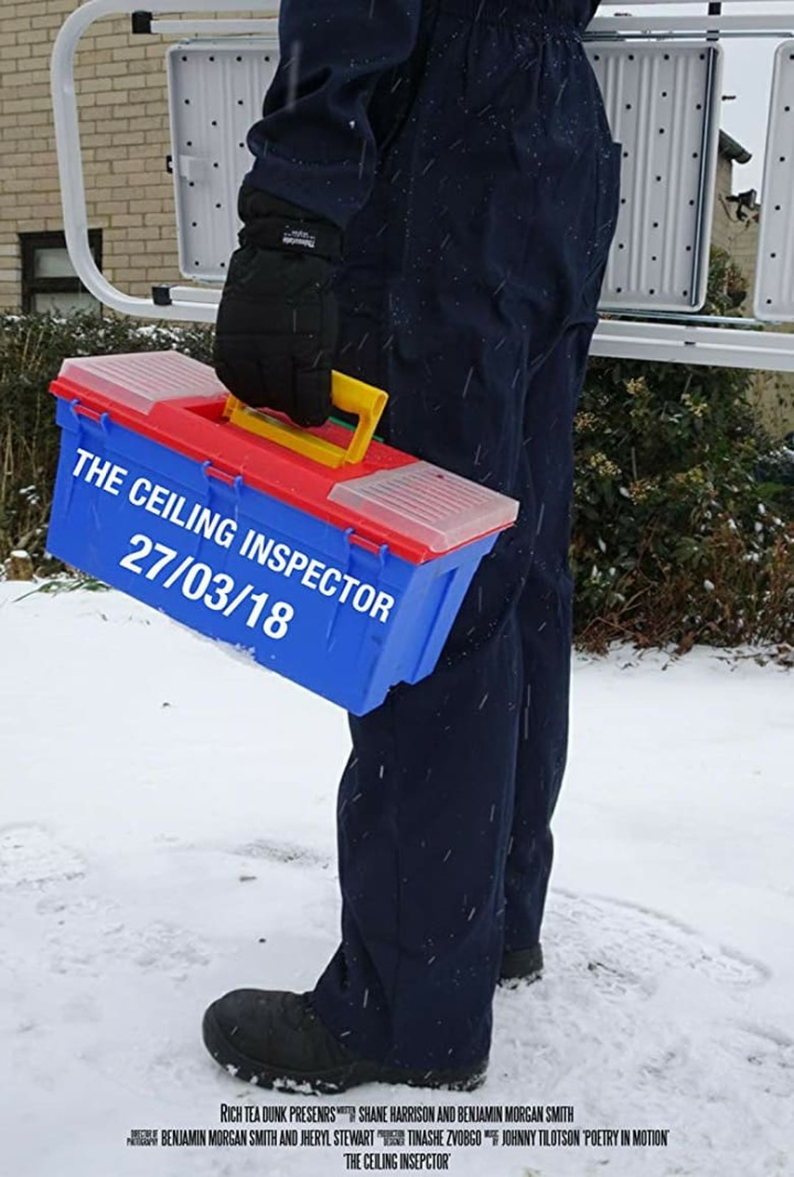 The Ceiling Inspector i gruppen Alla filmer / Comedy hos Mohamad shop (589749)