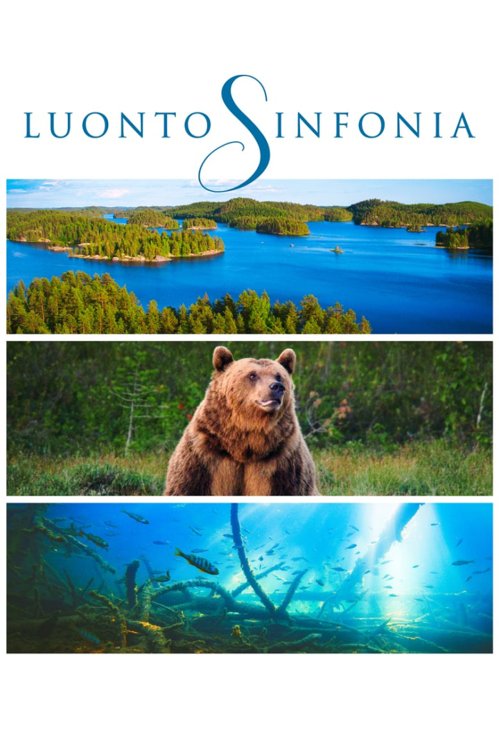 Nature Symphony i gruppen Alla filmer / Documentary hos Mohamad shop (589780)