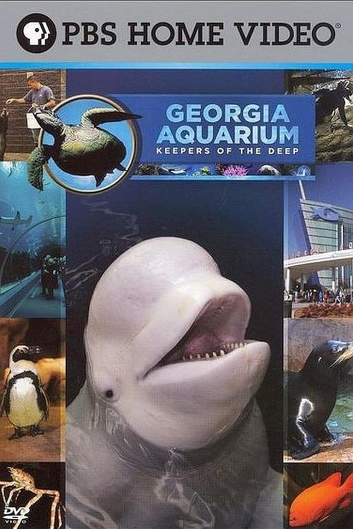 Georgia Aquarium - Keepers of the Deep i gruppen Alla filmer / Documentary hos Mohamad shop (589948)