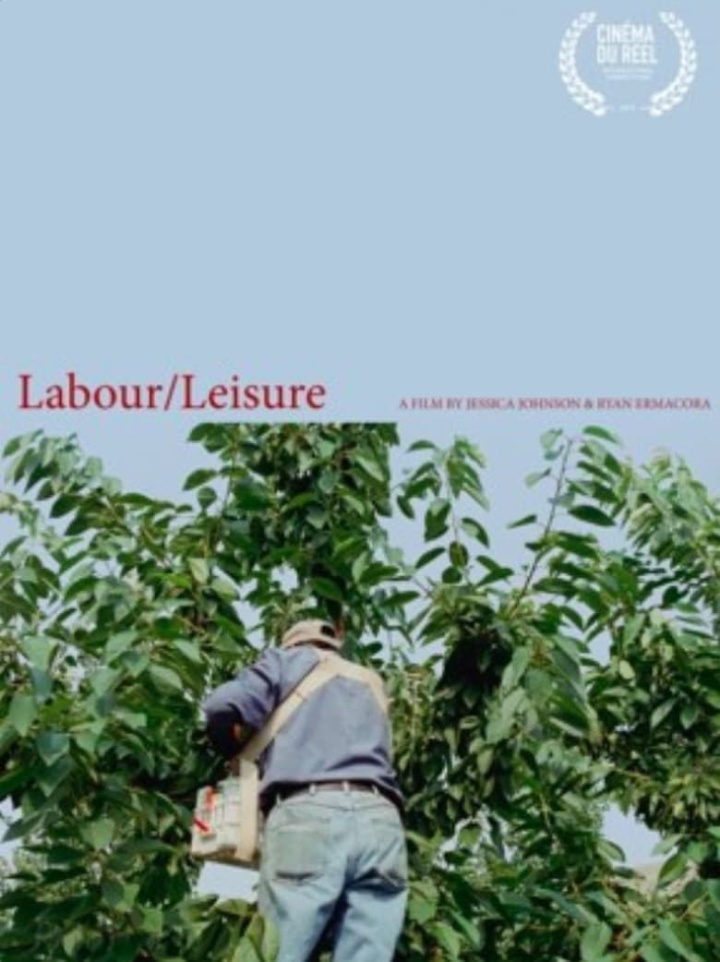 Labour/Leisure i gruppen Alla filmer / Documentary hos Mohamad shop (590805)