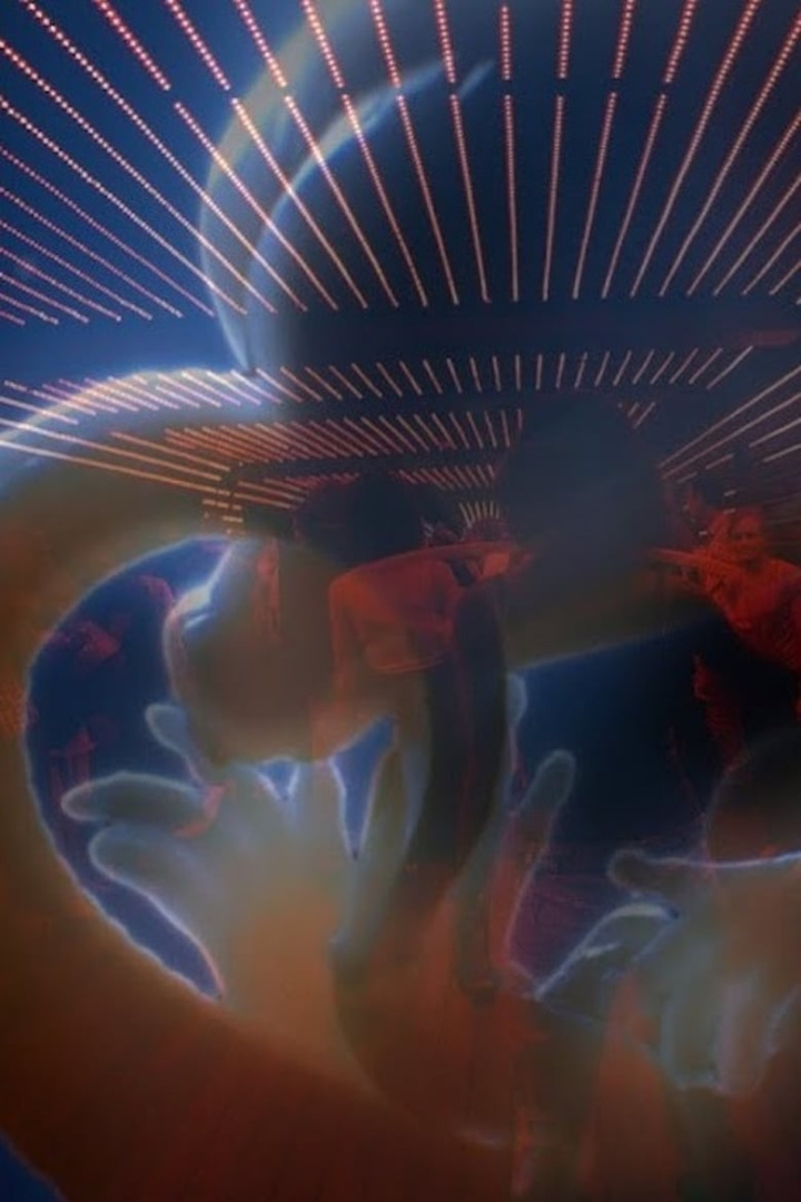 Charismatic Megafauna i gruppen Alla filmer / Documentary hos Mohamad shop (591587)