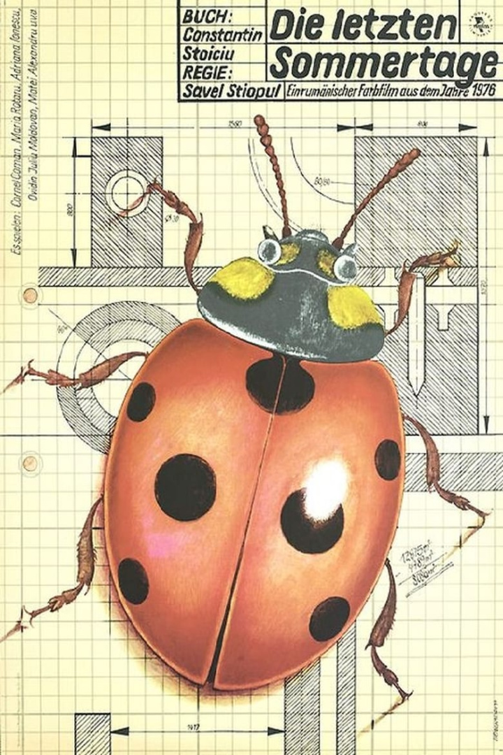 Last Days of Summer i gruppen Alla filmer hos Mohamad shop (591793)