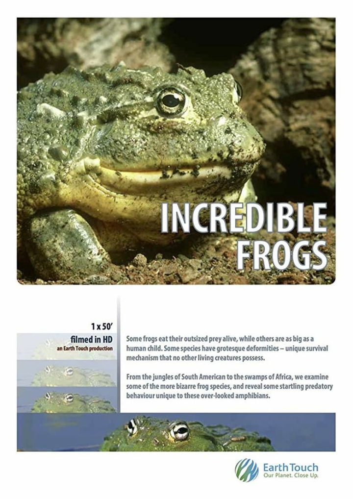 Incredible frogs i gruppen Alla filmer / Documentary hos Mohamad shop (591935)