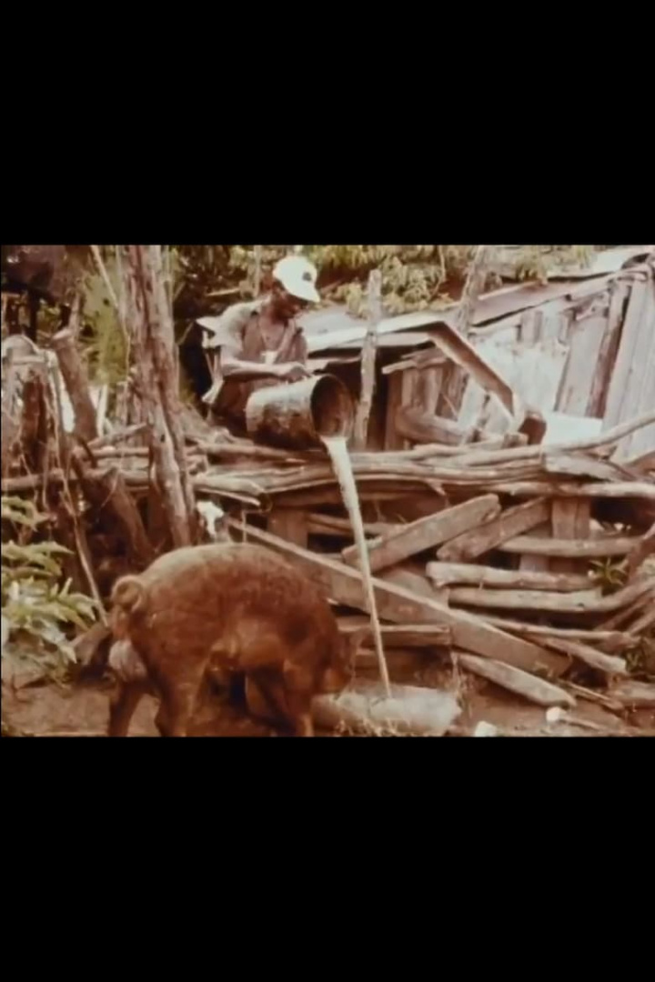 Bottle Up and Go i gruppen Alla filmer / Documentary hos Mohamad shop (592214)