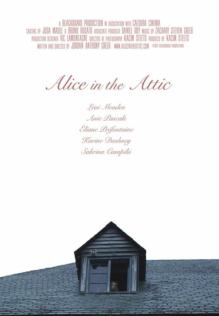 Alice in the Attic i gruppen Alla filmer / Thriller hos Mohamad shop (592473)