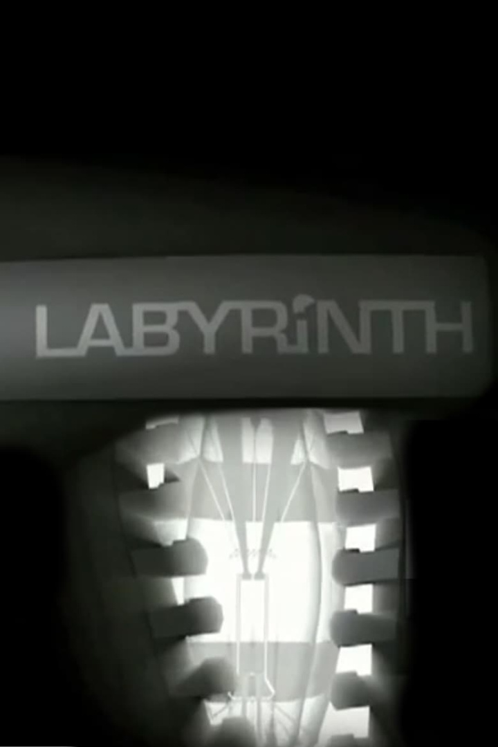 Labyrinth i gruppen Alla filmer / Animation hos Mohamad shop (592587)