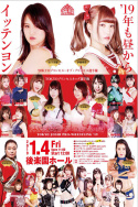 TJP Tokyo Joshi Pro \'19