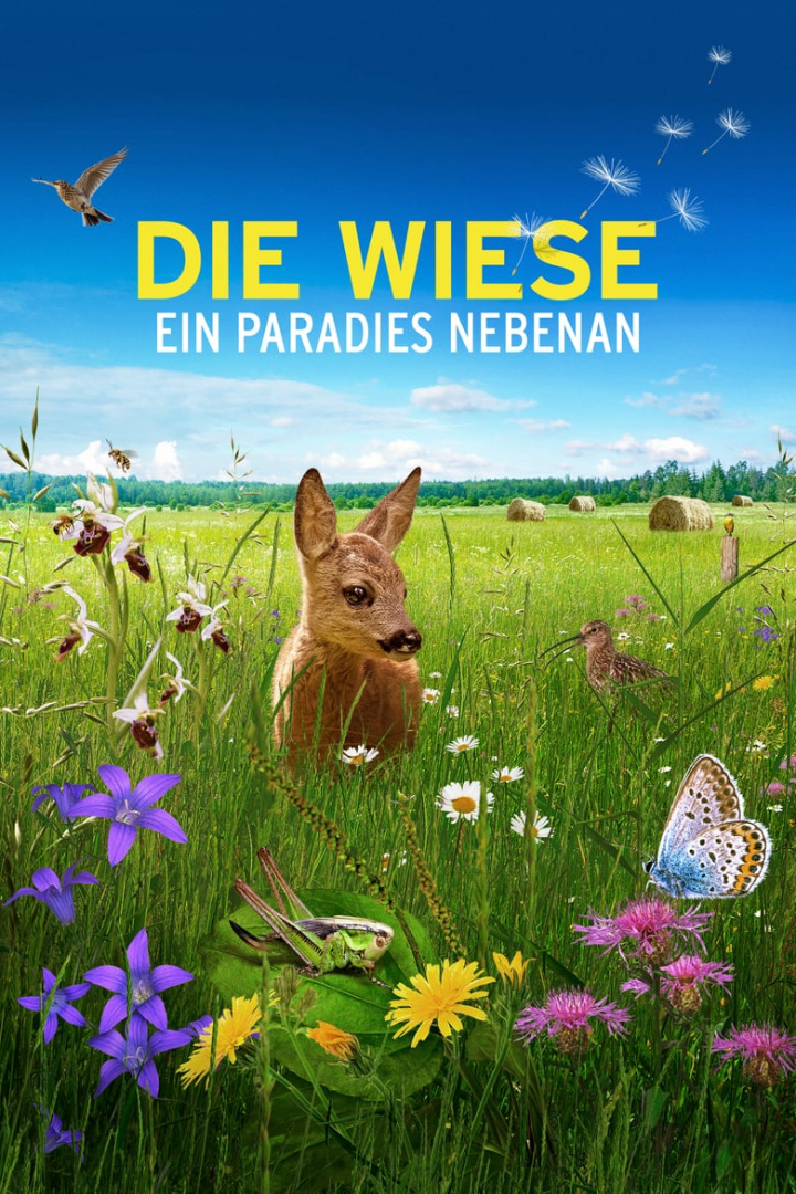 Die Wiese: Ein Paradies nebenan i gruppen Alla filmer / Documentary hos Mohamad shop (592866)