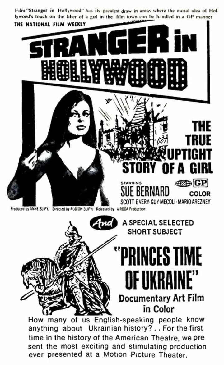 Stranger in Hollywood i gruppen Alla filmer hos Mohamad shop (593162)