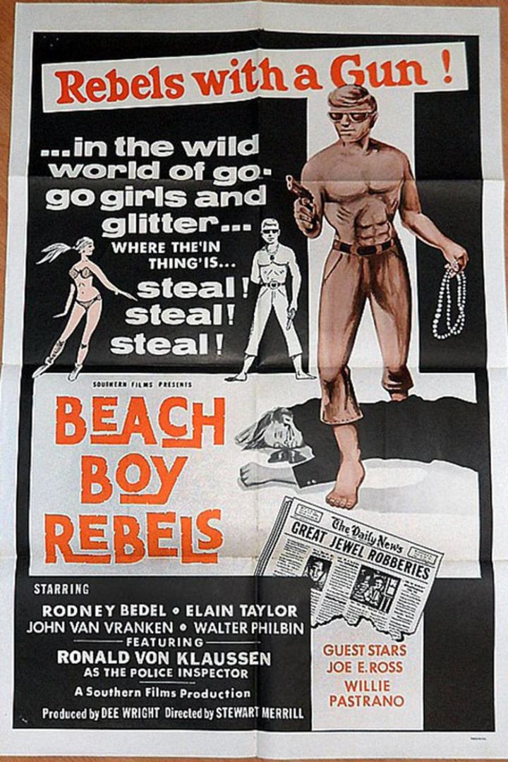 Beach Boy Rebels i gruppen Alla filmer / Crime hos Mohamad shop (593171)