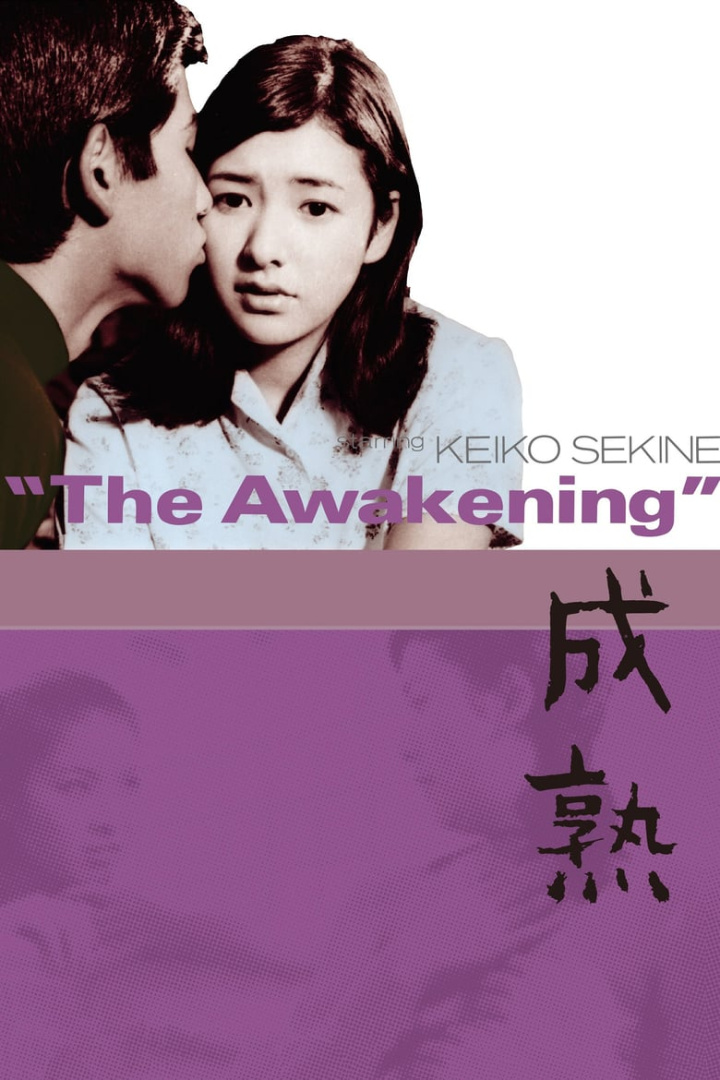 The Awakening i gruppen Alla filmer / Drama hos Mohamad shop (593287)