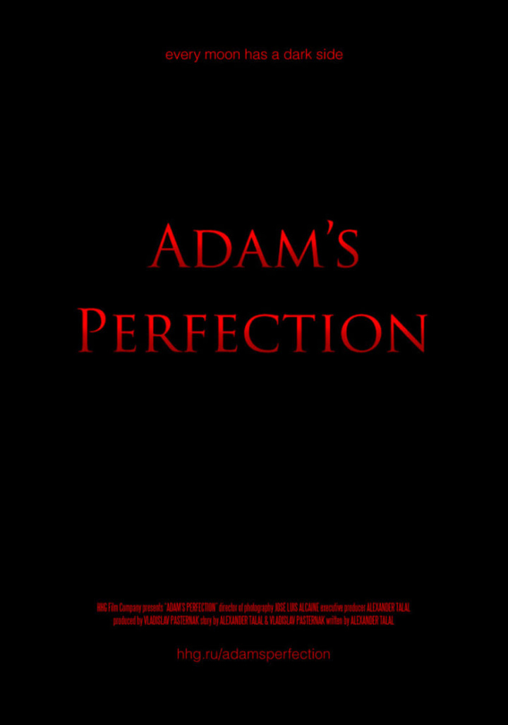 Adam\'s Perfection i gruppen Alla filmer hos Mohamad shop (593473)