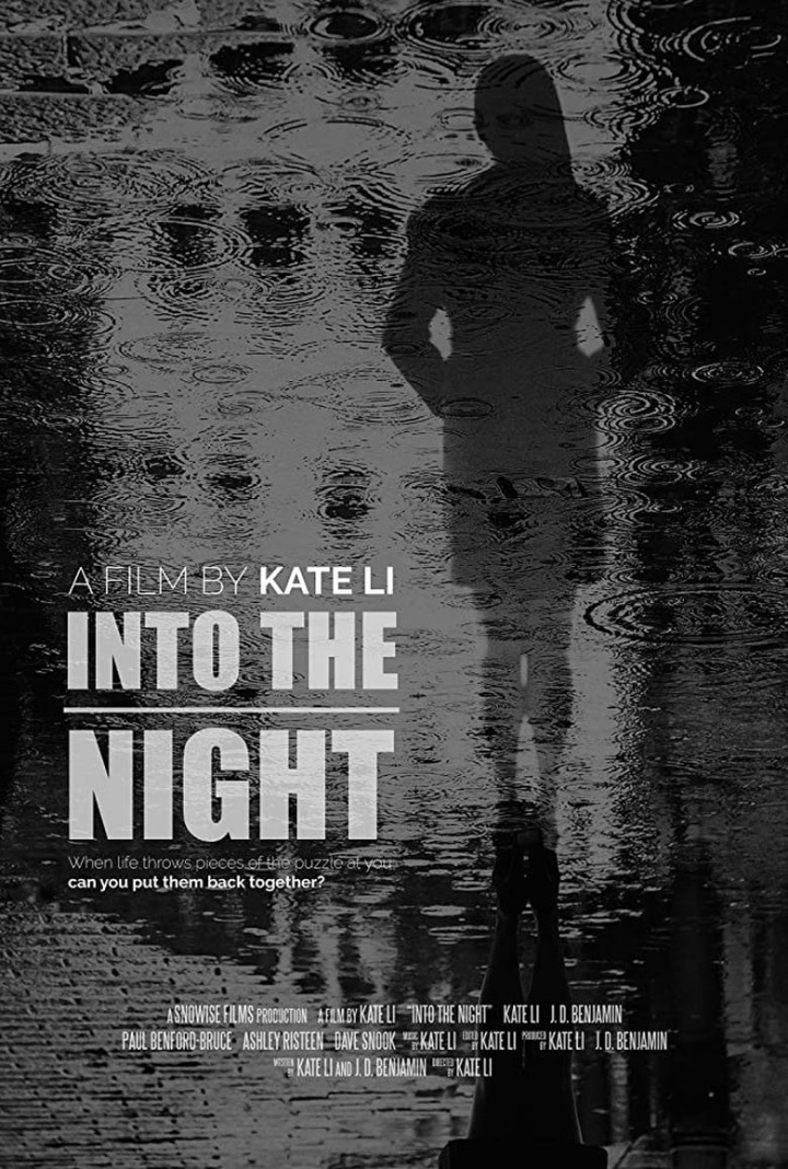 Into the Night i gruppen Alla filmer / Drama hos Mohamad shop (593782)