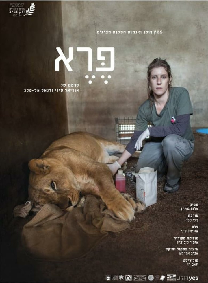 Wild: Life, Death and Love in a Wildlife Hospital i gruppen Alla filmer / Documentary hos Mohamad shop (594409)