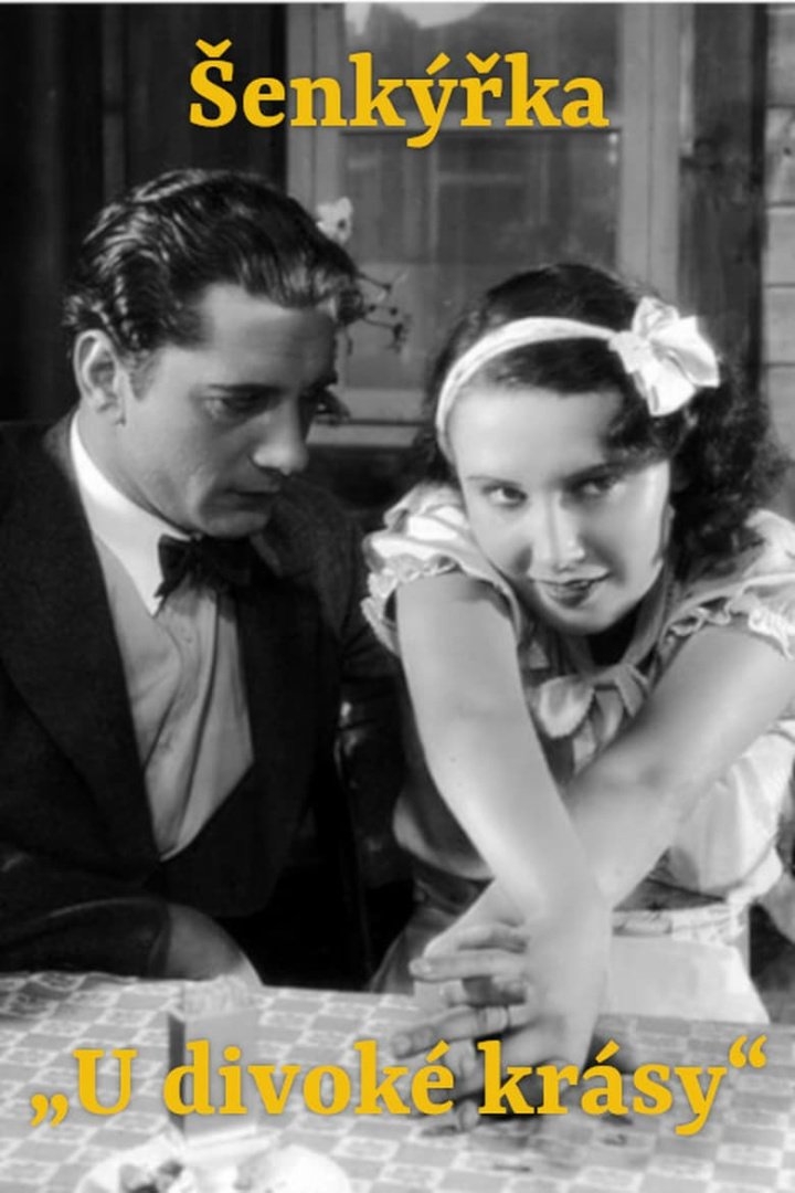 Šenkýřka „U divoké krásy“ i gruppen Komedi hos Mohamad shop (594537)