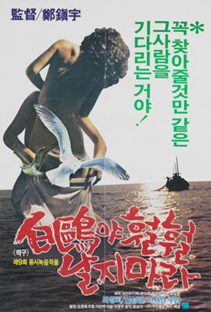 A White Feathered Gull i gruppen Alla filmer / Drama hos Mohamad shop (595446)