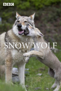 The Snow Wolf: A Winter\'s Tale