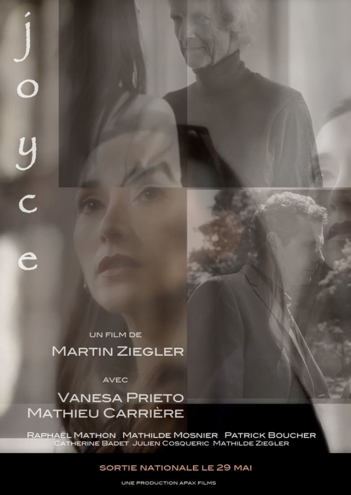 Joyce i gruppen Alla filmer / Drama hos Mohamad shop (596002)