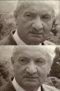 Martin Heidegger - Im Denken Unterwegs