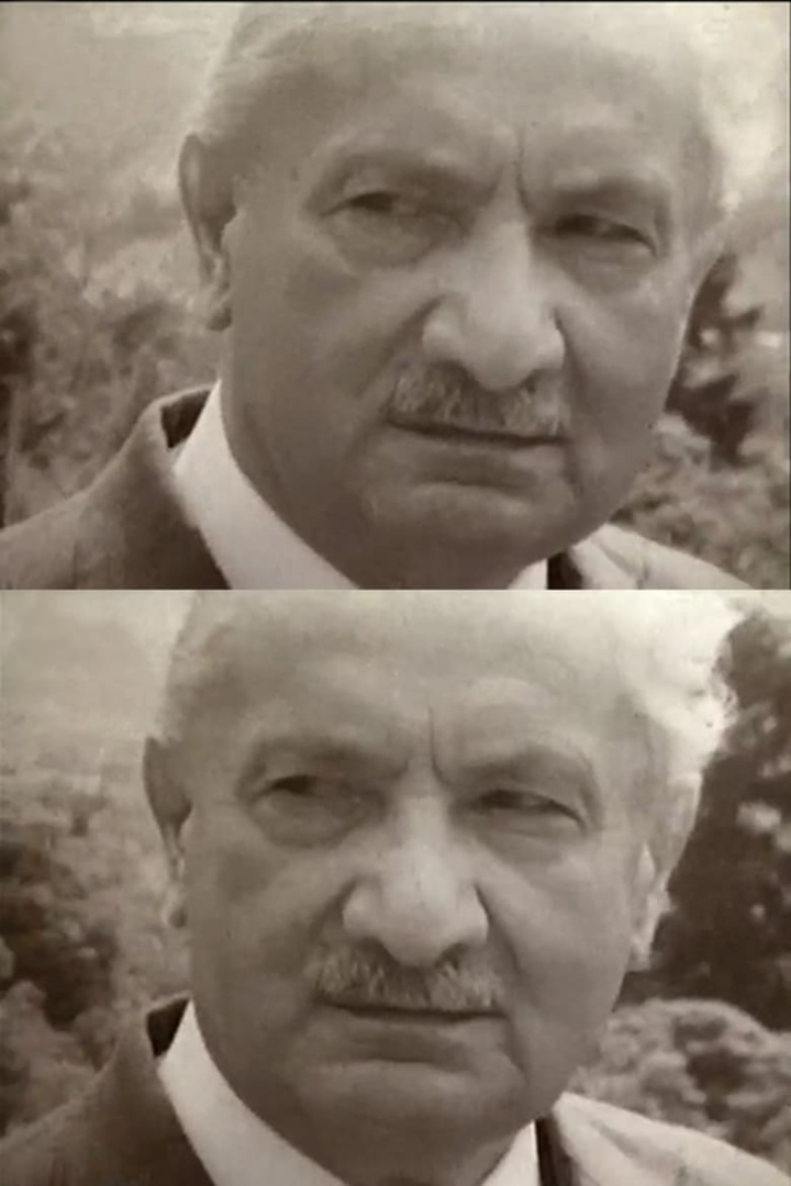 Martin Heidegger - Im Denken Unterwegs i gruppen Alla filmer hos Mohamad shop (596315)