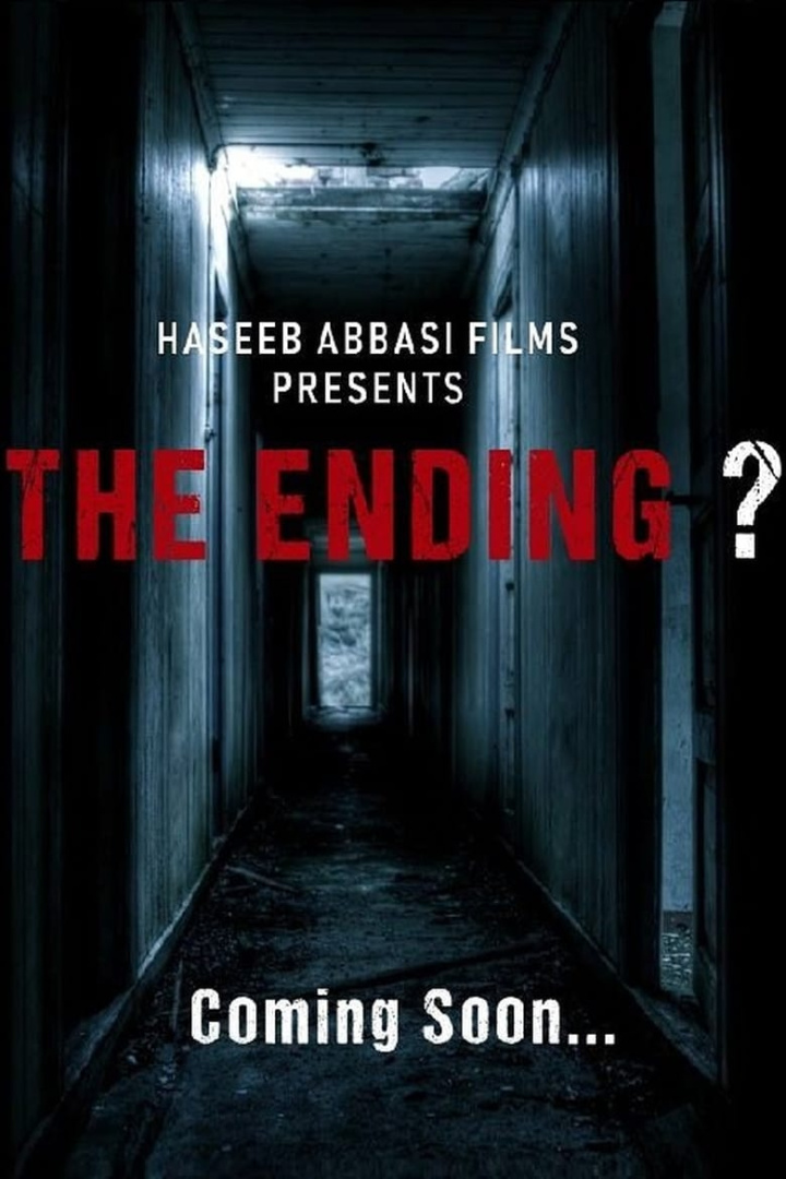 The Ending ? i gruppen Alla filmer / Thriller hos Mohamad shop (596651)