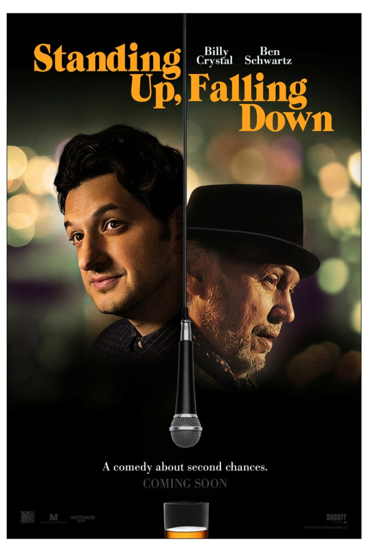 Standing Up, Falling Down i gruppen Alla filmer / Comedy hos Mohamad shop (597231)