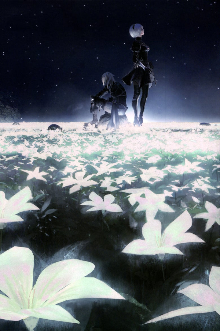 NieR:Orchestra Concert 12018 i gruppen Alla filmer / Music hos Mohamad shop (597280)