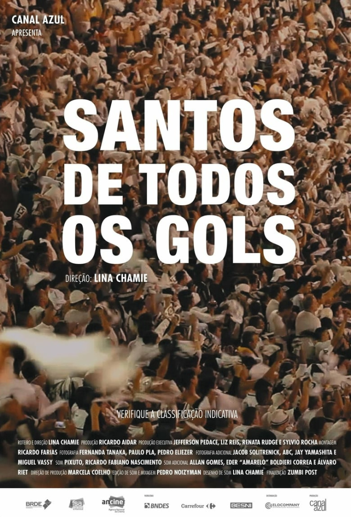 Santos de Todos os Gols i gruppen Alla filmer / Documentary hos Mohamad shop (597826)