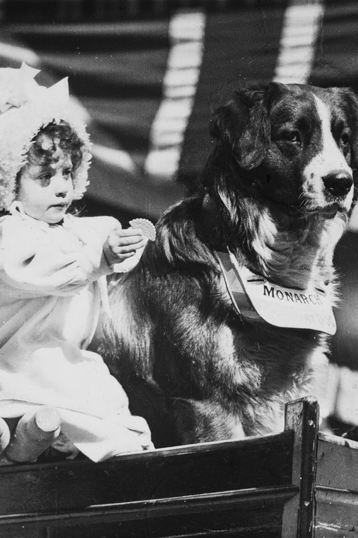 Me and My Two Friends i gruppen Alla filmer / Documentary hos Mohamad shop (598094)