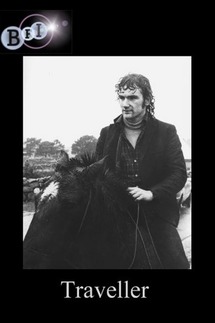 Traveller i gruppen Alla filmer hos Mohamad shop (599430)