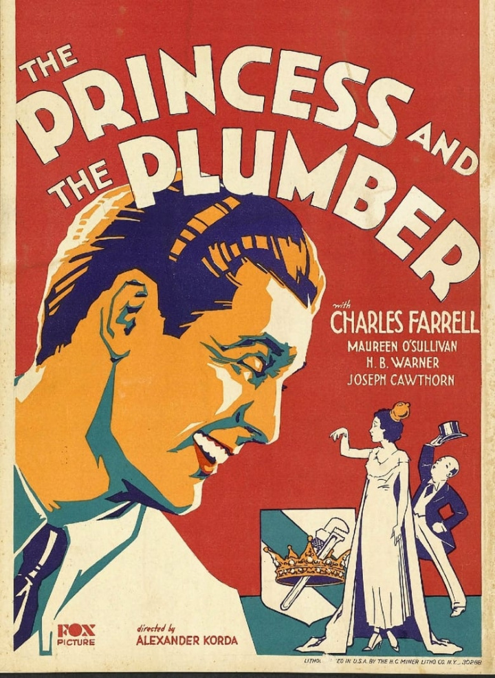 The Princess and the Plumber i gruppen Alla filmer / Romance hos Mohamad shop (599486)