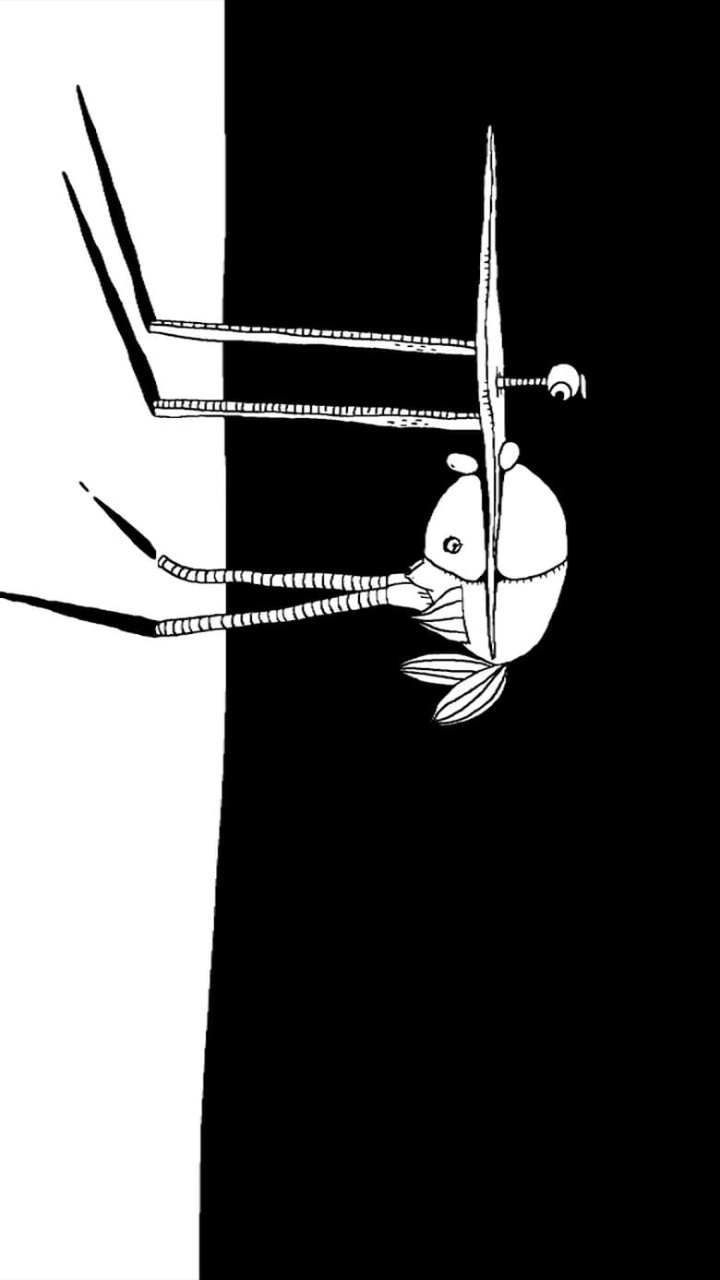 Decanimerone-1 i gruppen Alla filmer / Animation hos Mohamad shop (600064)