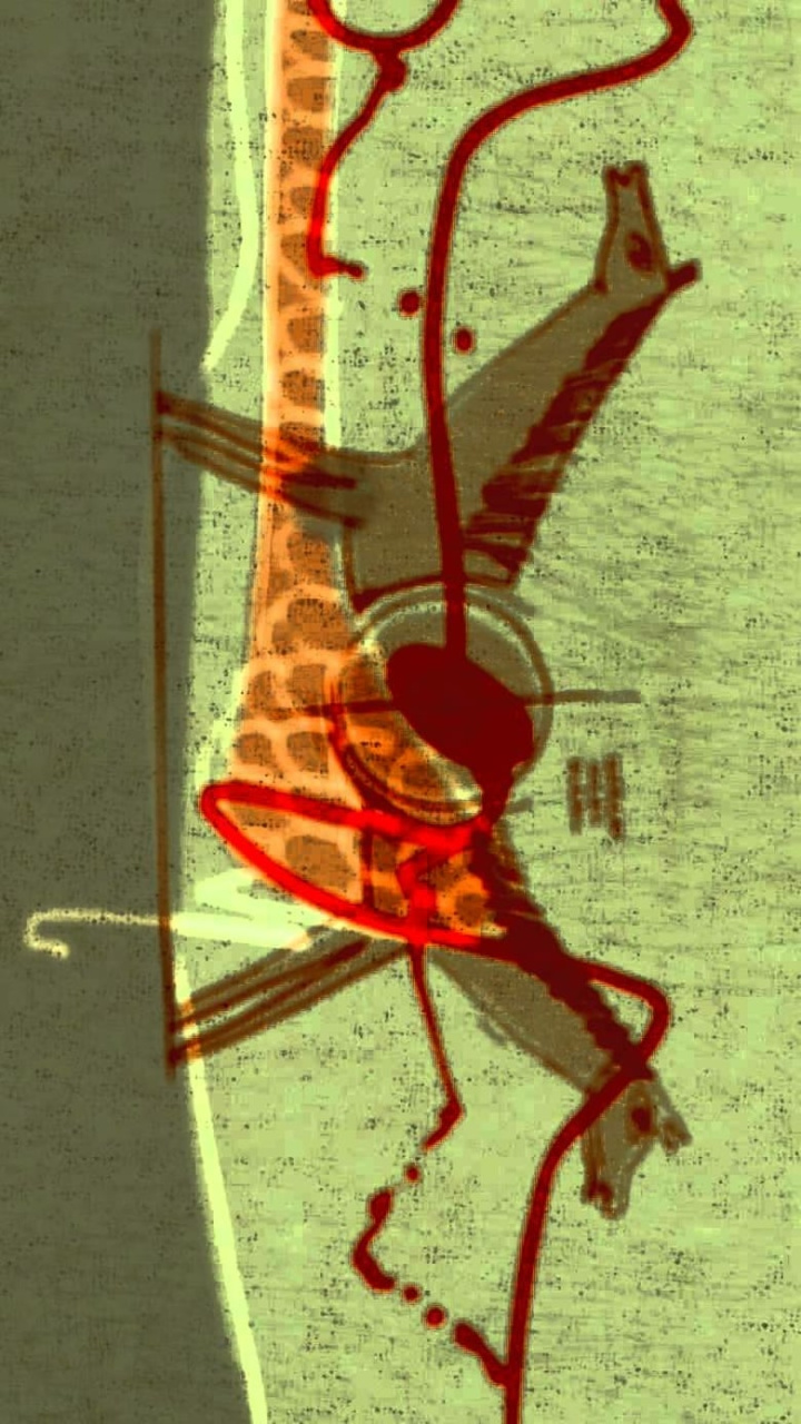 Гость на коне i gruppen Alla filmer / Animation hos Mohamad shop (600800)