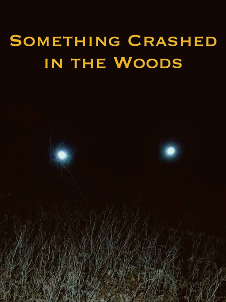 Something Crashed in the Woods i gruppen Alla filmer / Horror hos Mohamad shop (601446)